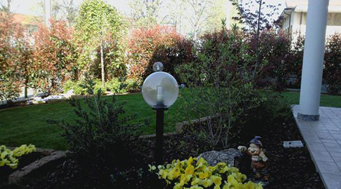 Foto0010